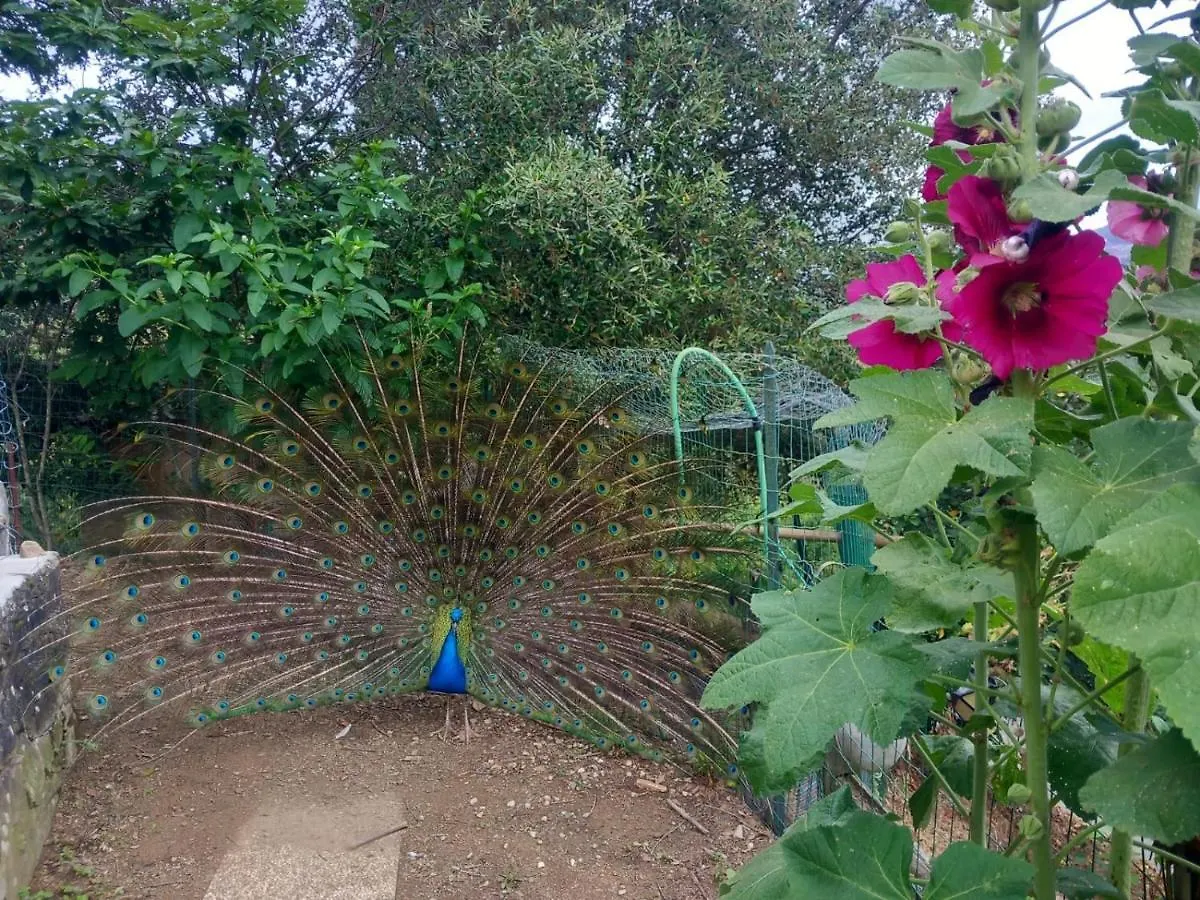 Il Giardino Dei Pavoni Hotel Soviore 0*,  Italy